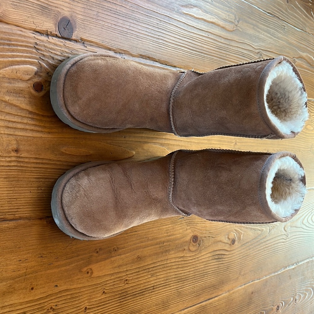 Chestnut Classic Short II UGGS